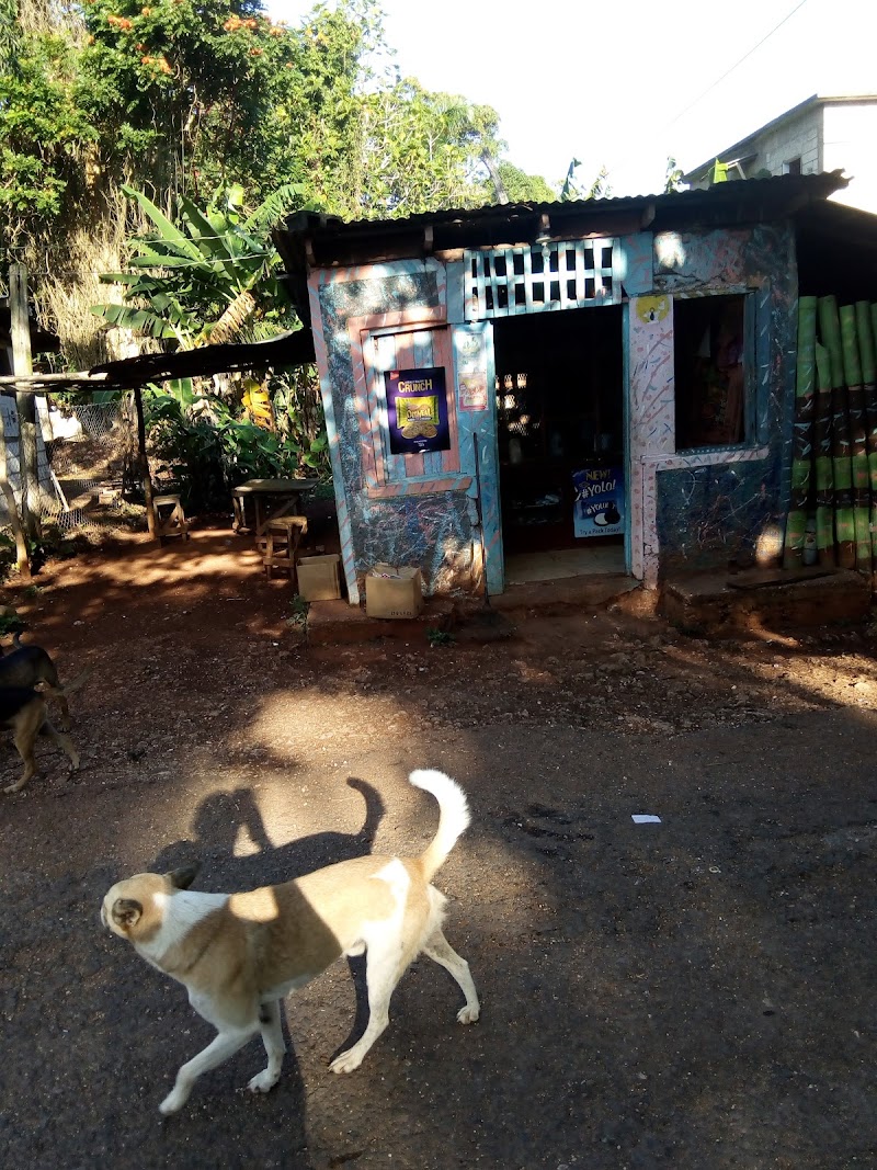 Rockaway Inn in Ocho Rios, Jamaica