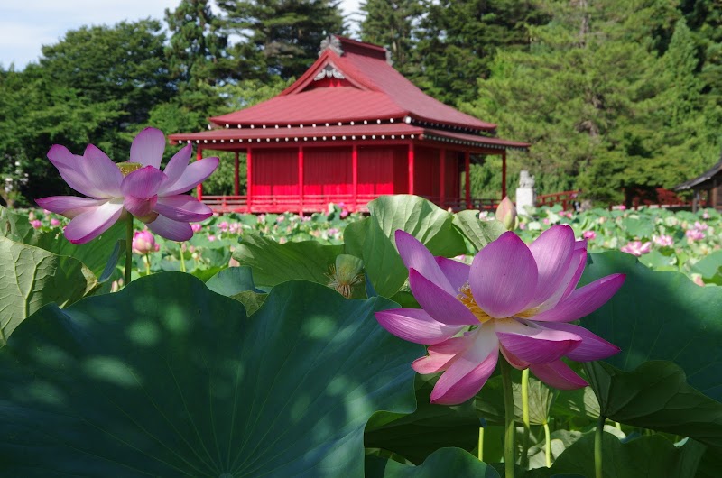 Saruka Park Hotel in Kuroishi, Japan