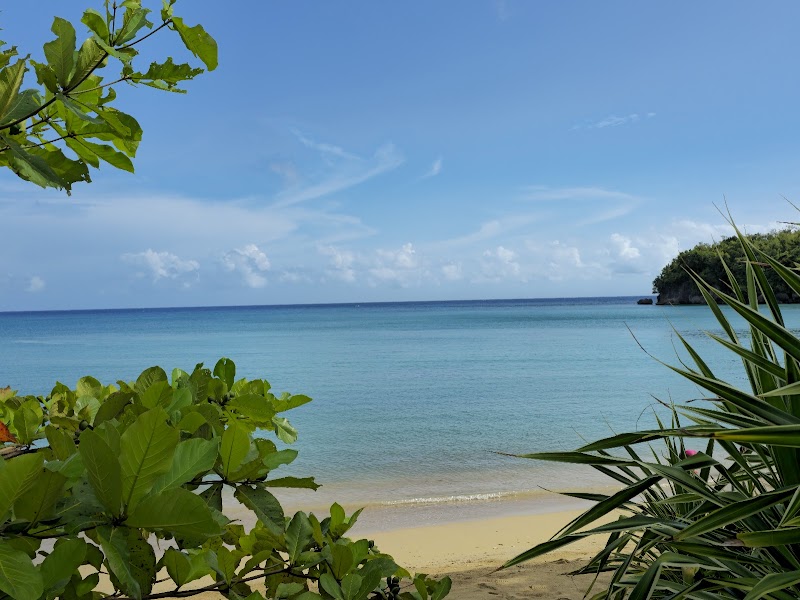 Shaw Park Beach Hotel & Spa in Ocho Rios, Jamaica