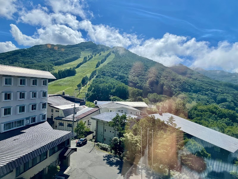 Shiga Park Hotel in Yamanouchi, Japan