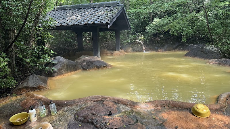 Shinnanyo Ryokan in Bungoono, Japan