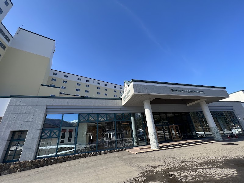 Shirako Daiichi Hotel in Shirako, Japan