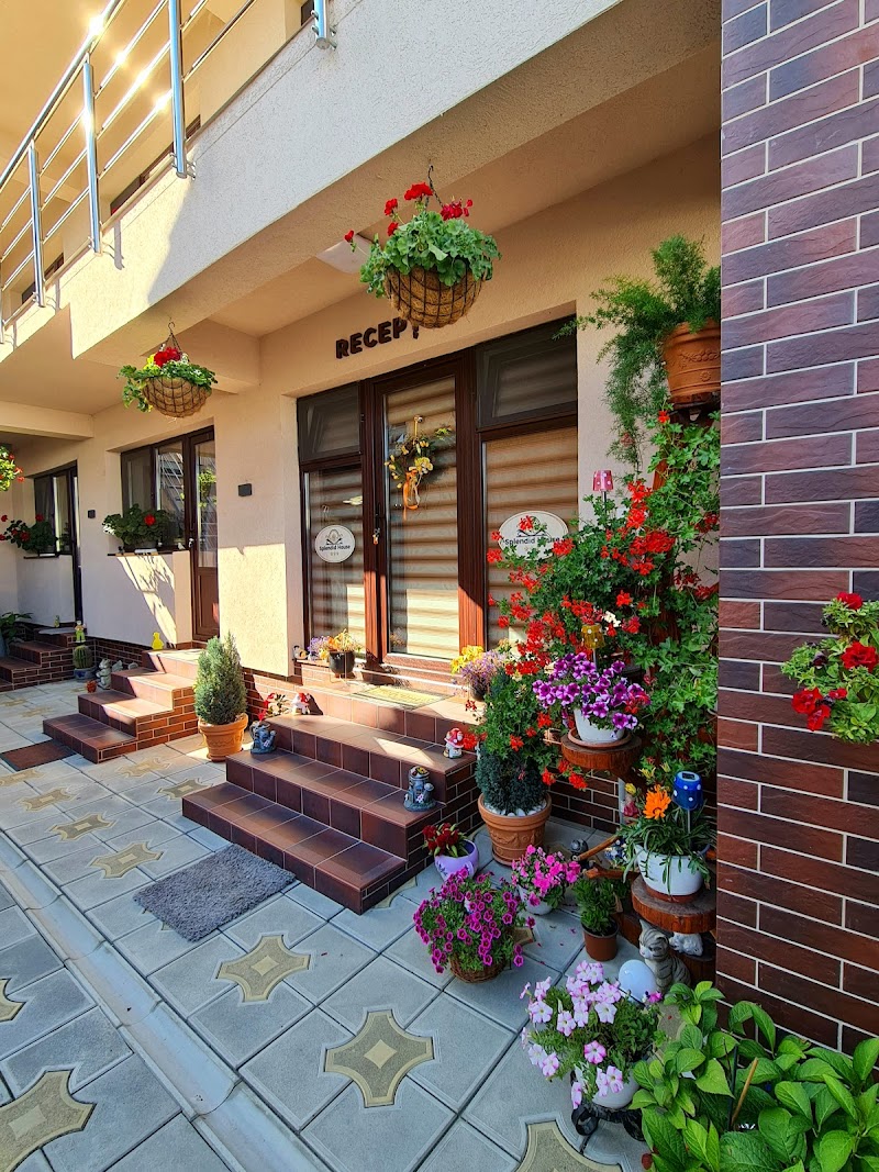 Splendid Guesthouse in Mellieha, Malta