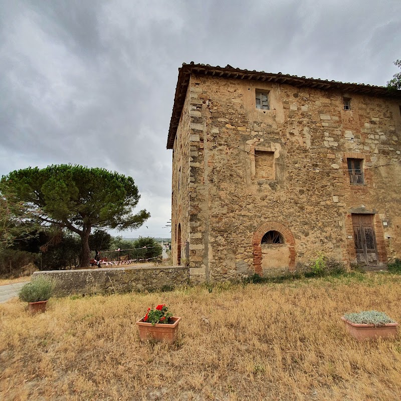 Tenuta di Vignale in Campiglia Marittima, Italy