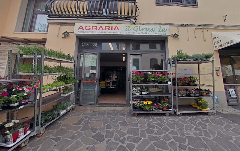 The Garden of the Fig Tree in Cerreto Guidi, Italy