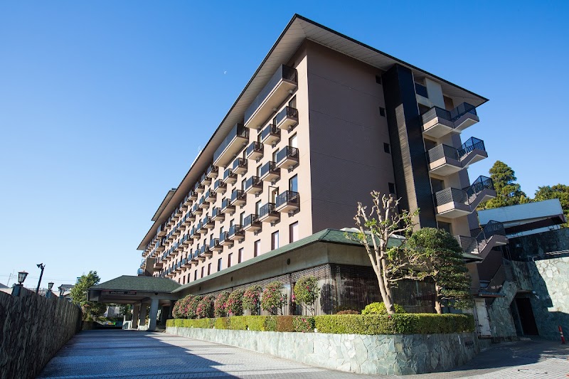 The Hedistar Hotel Narita in Narita, Japan