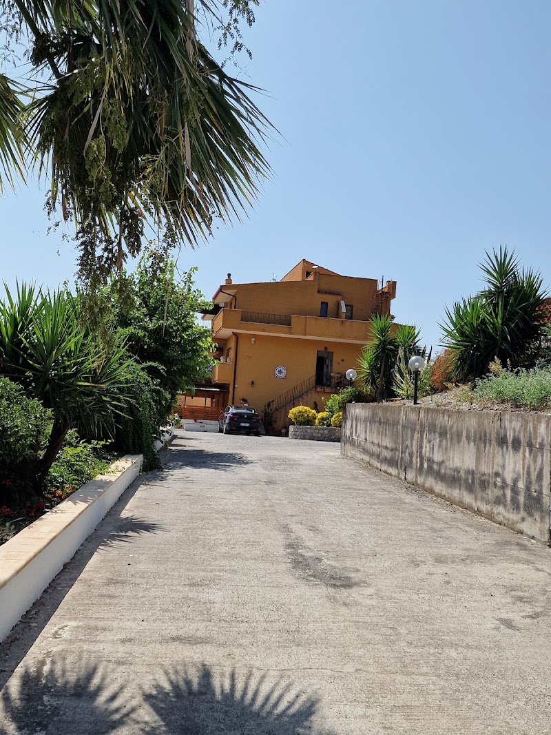 The Lemon Tree in Acireale, Italy