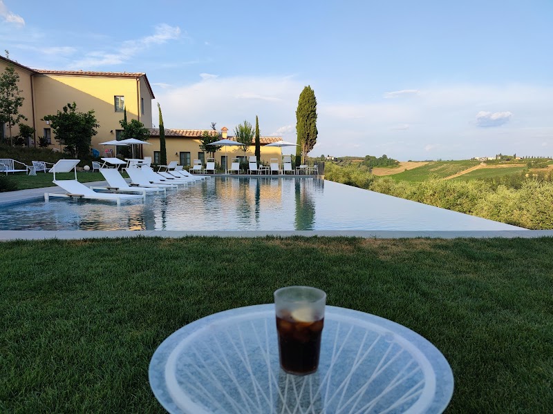 The Little Field of the Olive Trees in Cerreto Guidi, Italy