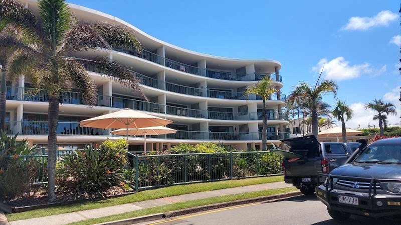 The Norfolks on Moffat Beach in Caloundra, Australia