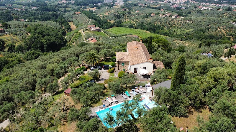 The Olive Tree Villa in Cerreto Guidi, Italy