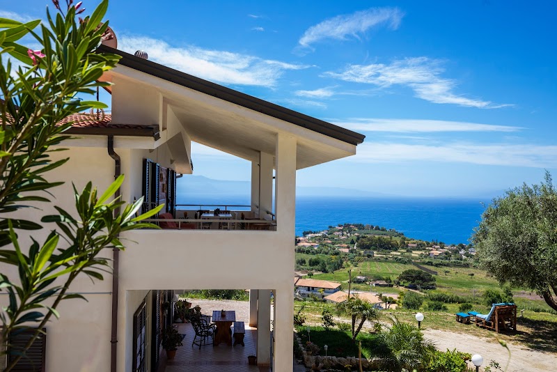 The Olive Tree in Acireale, Italy