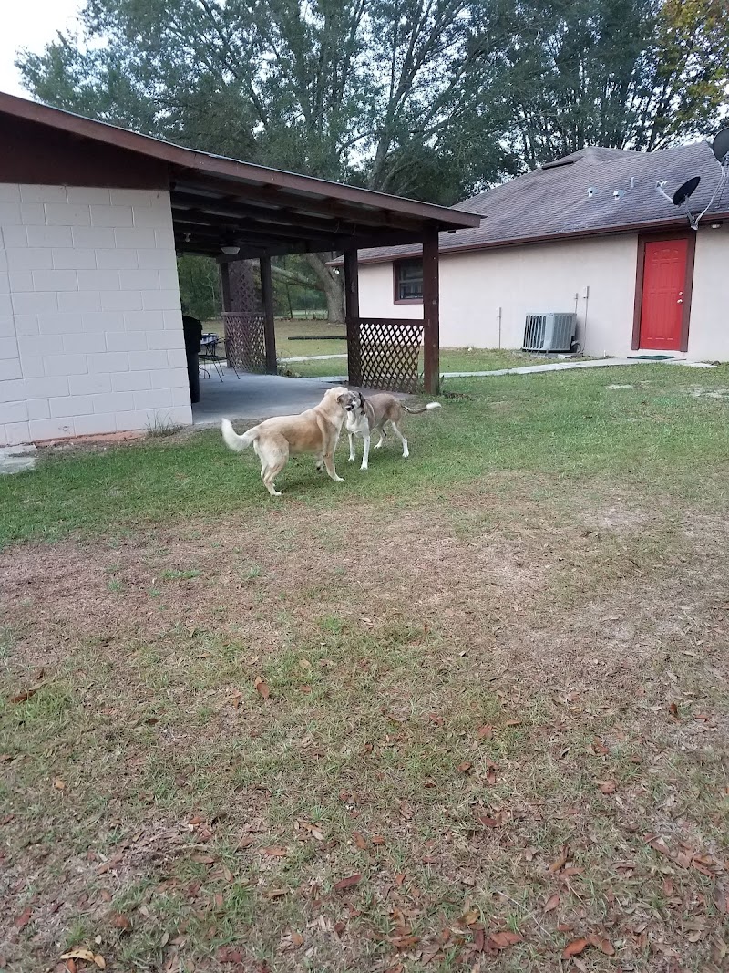 The Rustic Inn in Alachua, United States