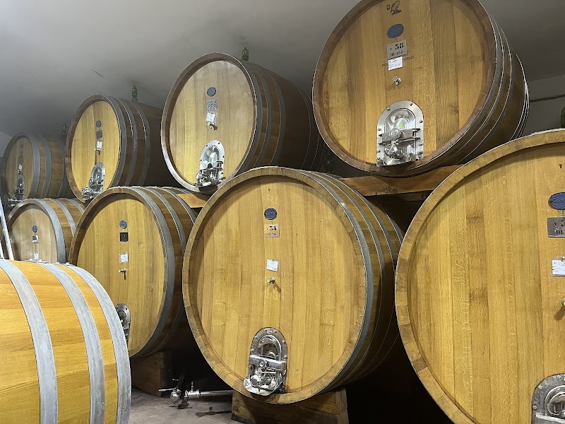 The Vineyard Escape in Cerreto Guidi, Italy