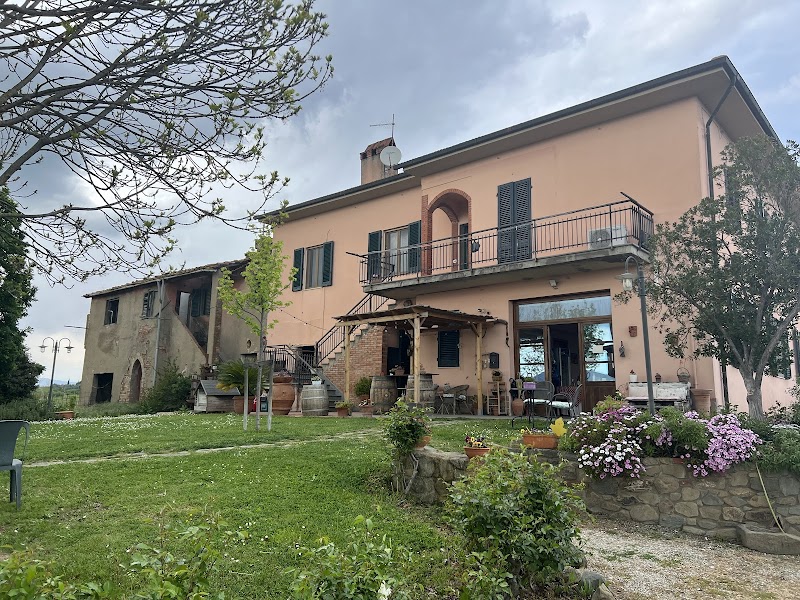 The Vineyard House in Cerreto Guidi, Italy