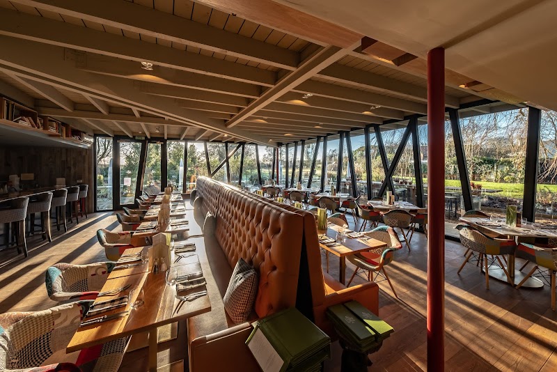 The Weeping Willow in Bury Saint Edmunds, United Kingdom