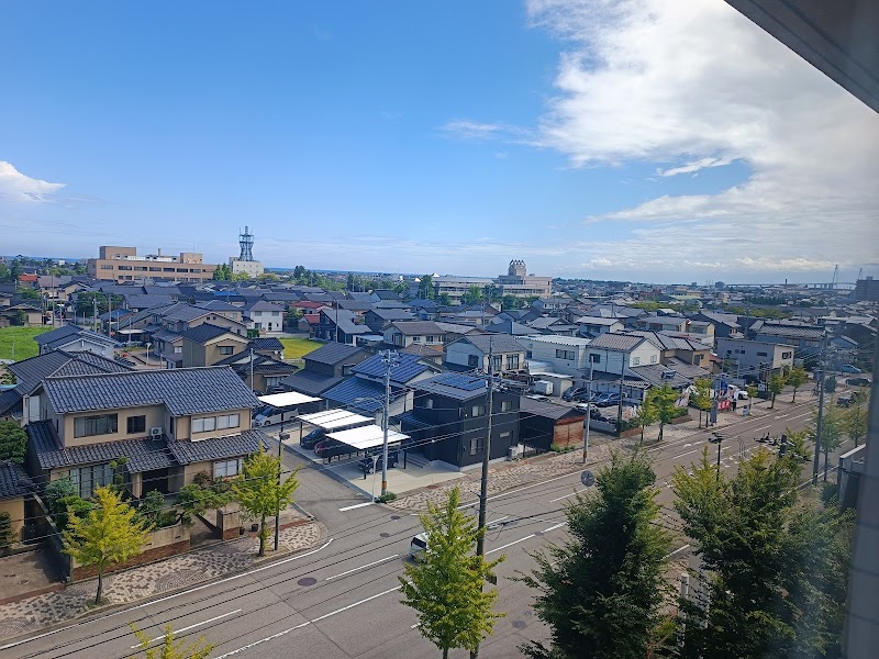 Toyama Dai-ichi Hotel in Toyama, Japan