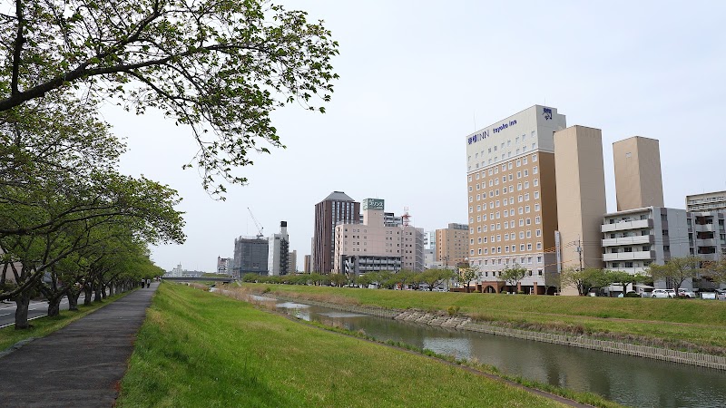Toyoko Inn Mito-eki Minami-guchi in Ibaraki, Japan