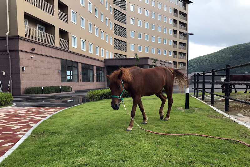 Toyoko Inn Tsushima Hitakatsu in Tsushima, Japan