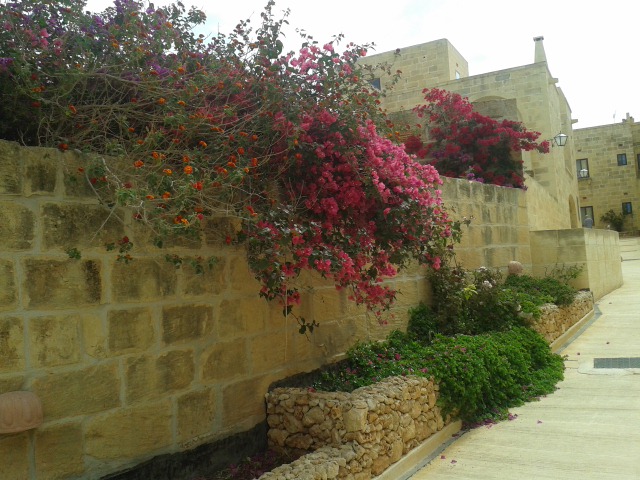 Tranquility B&B in Xaghra, Malta