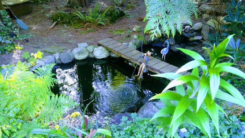 Tree Frog Night Inn in Bellingham, United States