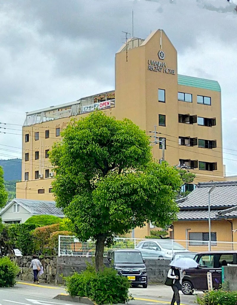 Uwajima Regent Hotel in Uwajima, Japan