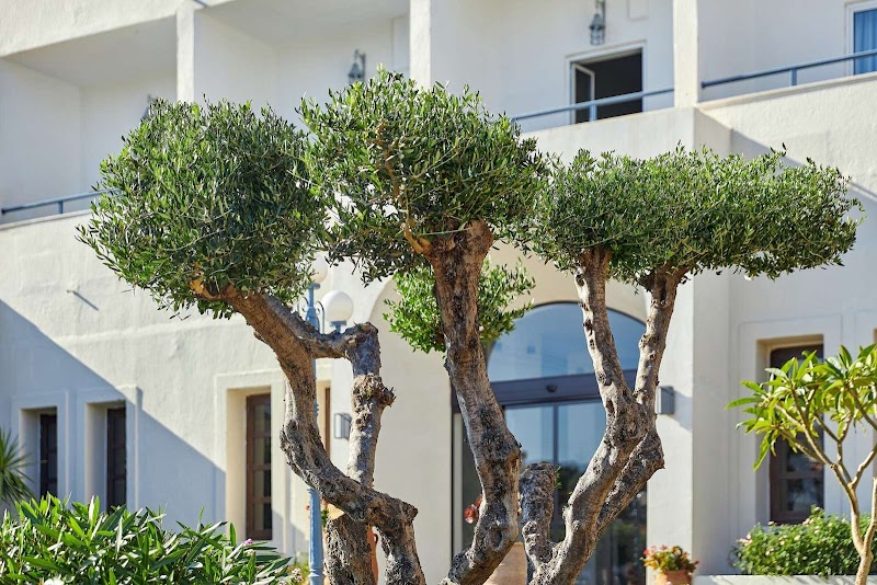 Vasia Ormos Hotel in Agios Nikolaos, Greece