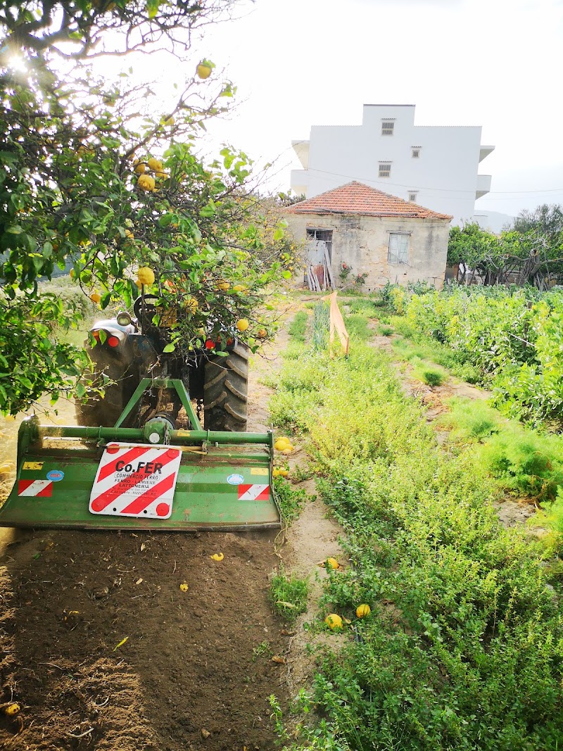 Villa Costantino in Bagnara Calabra, Italy