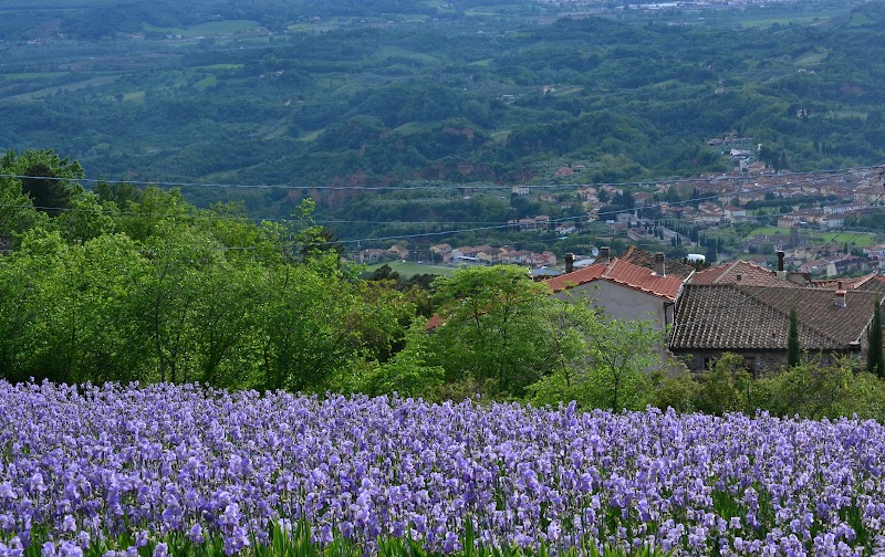 Villa Iris in Castelfranco di Sopra, Italy