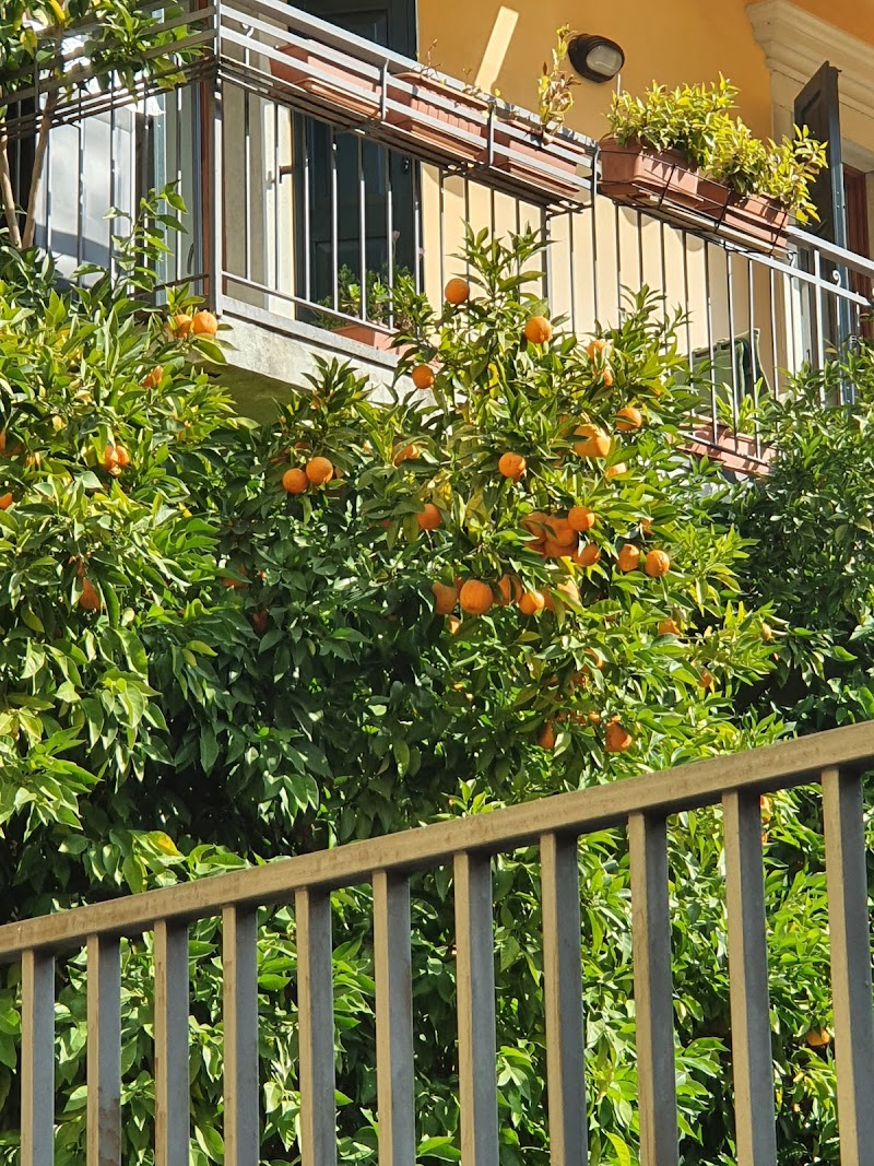 Villa Nicoletta in Arco, Italy