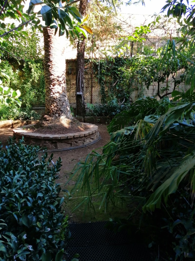 Villa delle Palme in Altavilla Milicia, Italy