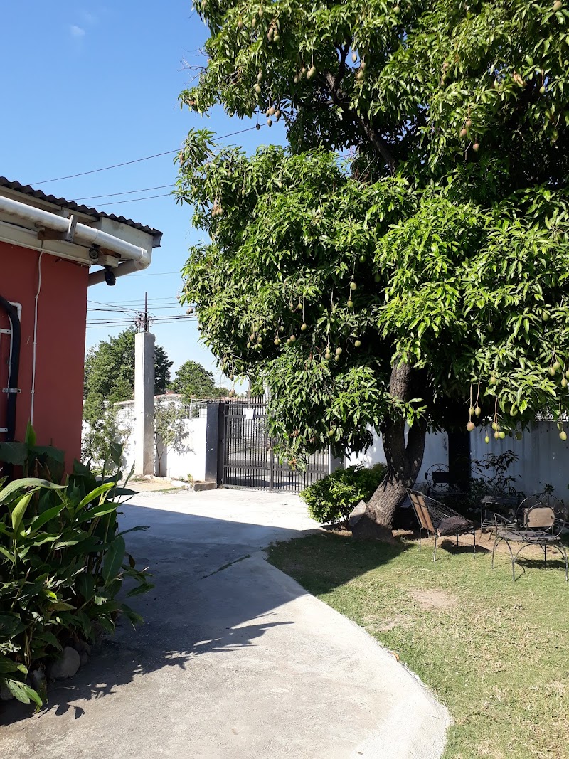 Yard Style in Kingston, Jamaica