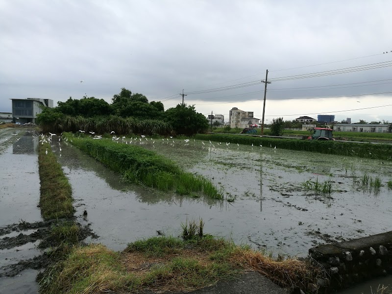 Yilan Greenbird of Happiness B&B in Dongshan, Taiwan