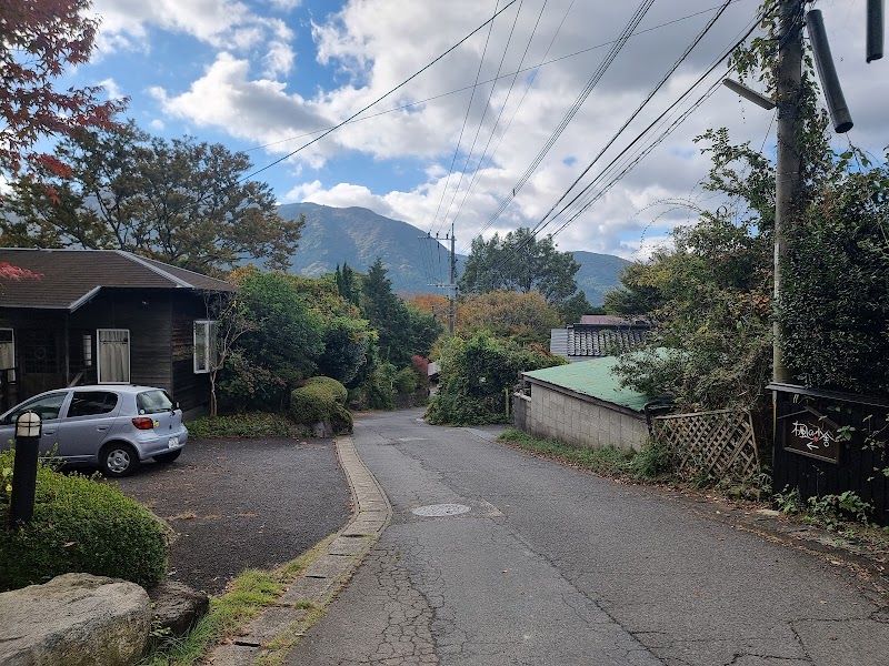 Yufuin Ryokan Seikoen in Yufu, Japan