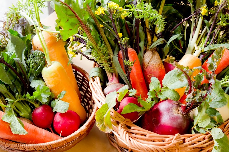 Yugawara Retreat Goen no Mori in Yugawara, Japan