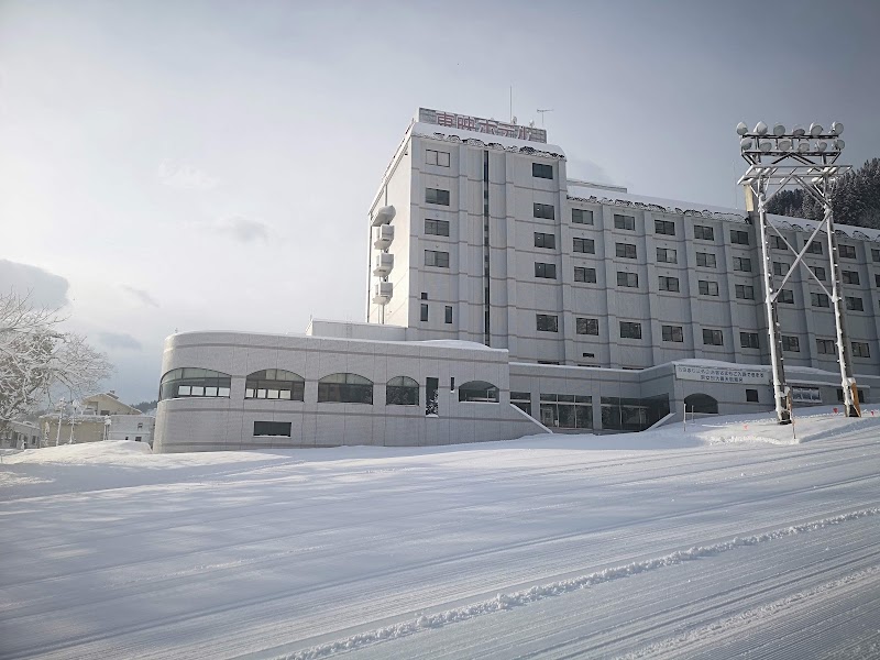 Yuzawa Toei Hotel in Yuzawa, Japan