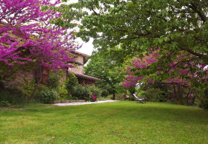 Agriturismo Casa Branca in Umbertide, Italy