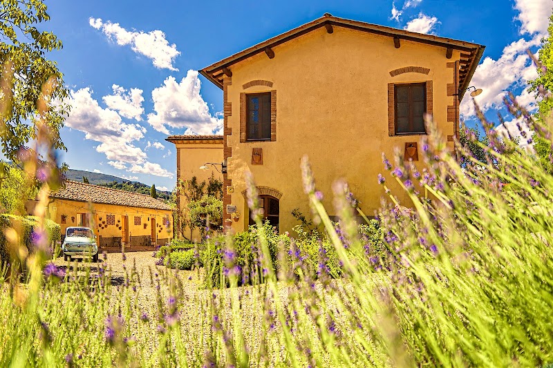 Agriturismo Il Segreto di Pietrafitta in Colle di Val d'Elsa, Italy