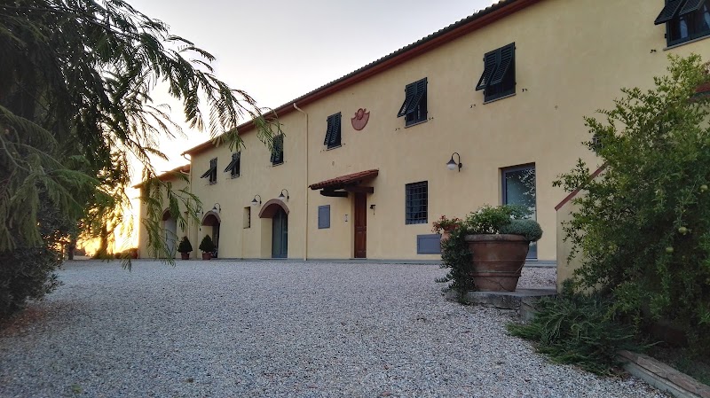 Agriturismo Luggiano in Vinci, Italy