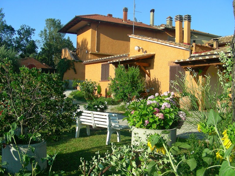 Agriturismo Menchetti in Foiano della Chiana, Italy