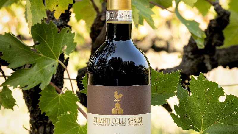 Agriturismo Poggio Salvi in Sovicille, Italy