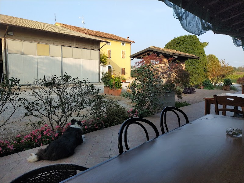 Agriturismo Pozzo Fiorito in Castiglione delle Stiviere, Italy