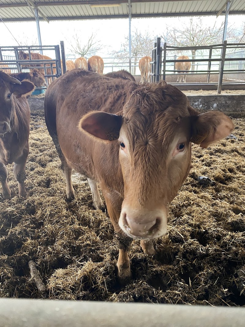 Agriturismo Valdastra in Borgo San Lorenzo, Italy