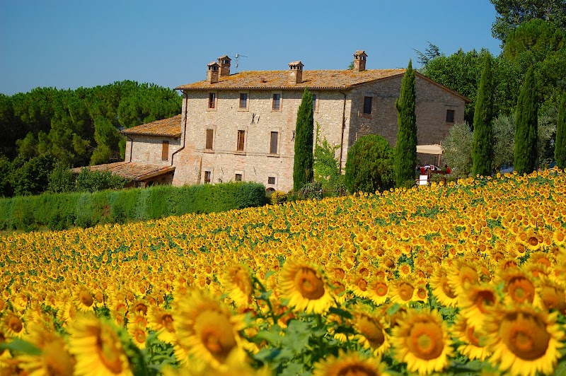 Agriturismo Valle di Ponte in Todi, Italy