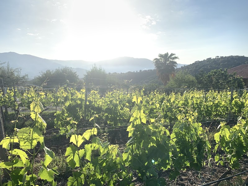Antica Tindari in Patti, Italy