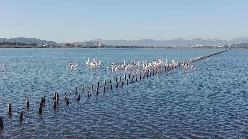 B&B Golfo degli Angeli in Quartu Sant'Elena, Italy