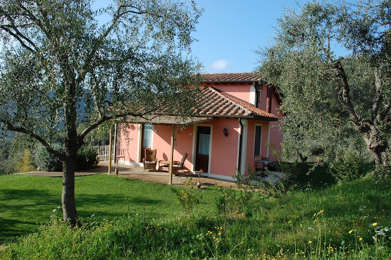 B&B Il Pino in Sansepolcro, Italy