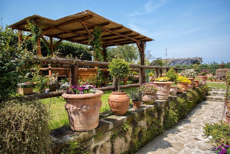 B&B La Casa Nel Giardino in Cherasco, Italy
