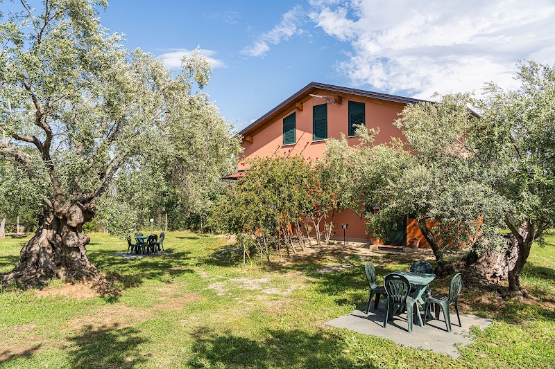 B&B La Piana Degli Ulivi in Castrovillari, Italy