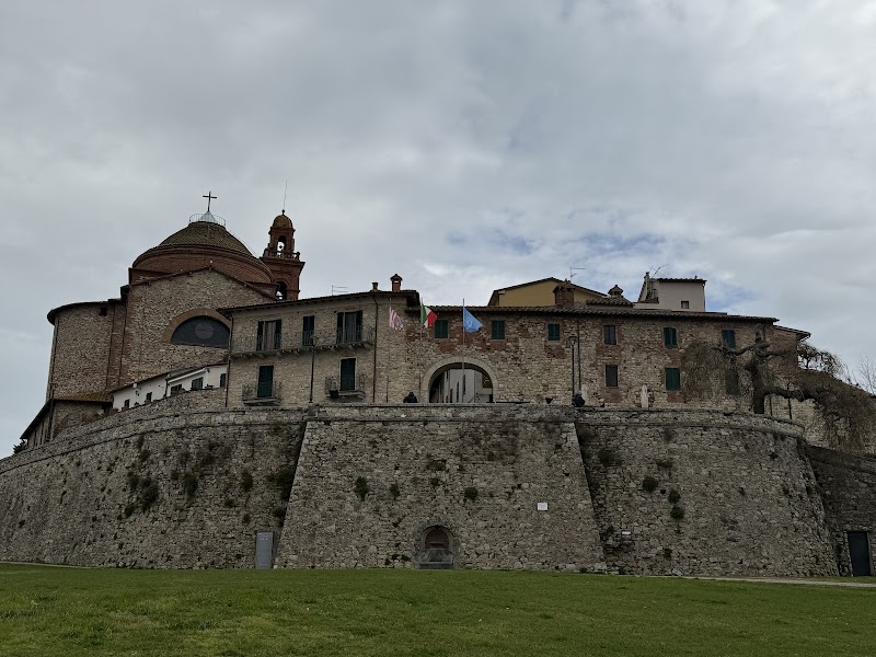 B&B Lagolivo in Castiglione del Lago, Italy