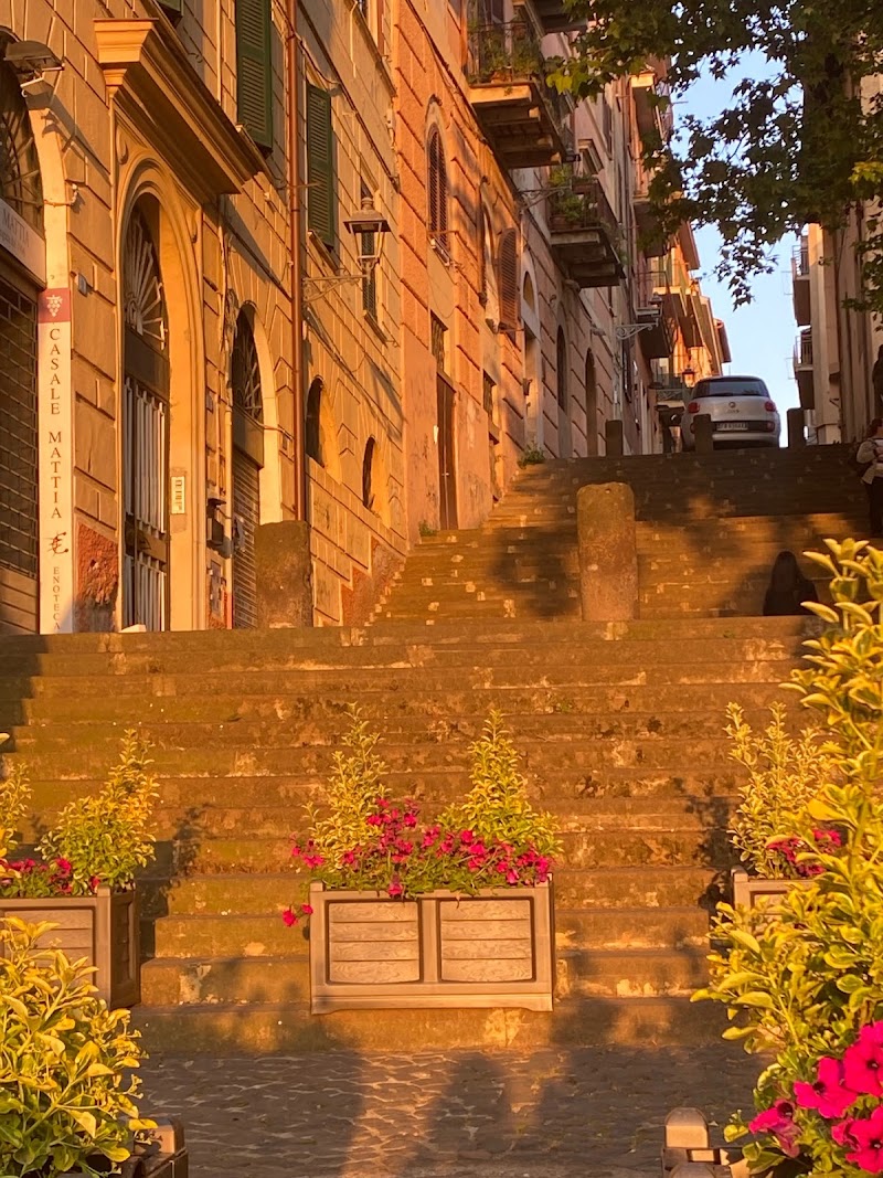 B&B Theodora in Frascati, Italy